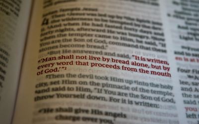 Every Word That Comes From the Mouth of God